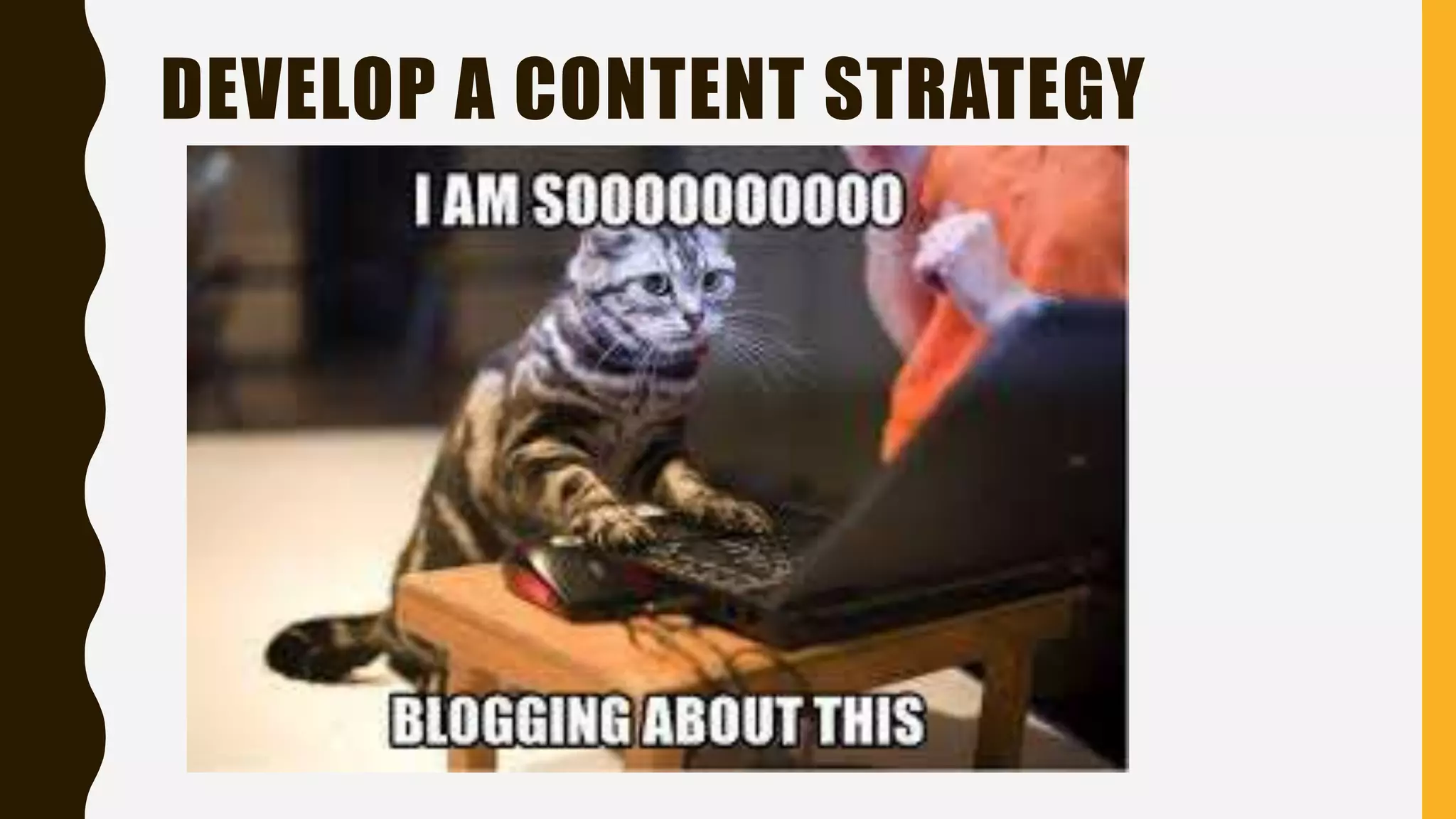 DEVELOP A CONTENT STRATEGY
 