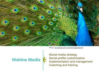 Photo: wunderground.com/wximage/walcek



                  Social media strategy
                  Social proﬁle customization
Wahine	
  Media   Implementation and management
                  Coaching and training
 