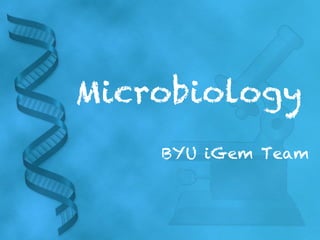 Microbiology
BYU iGem Team
 