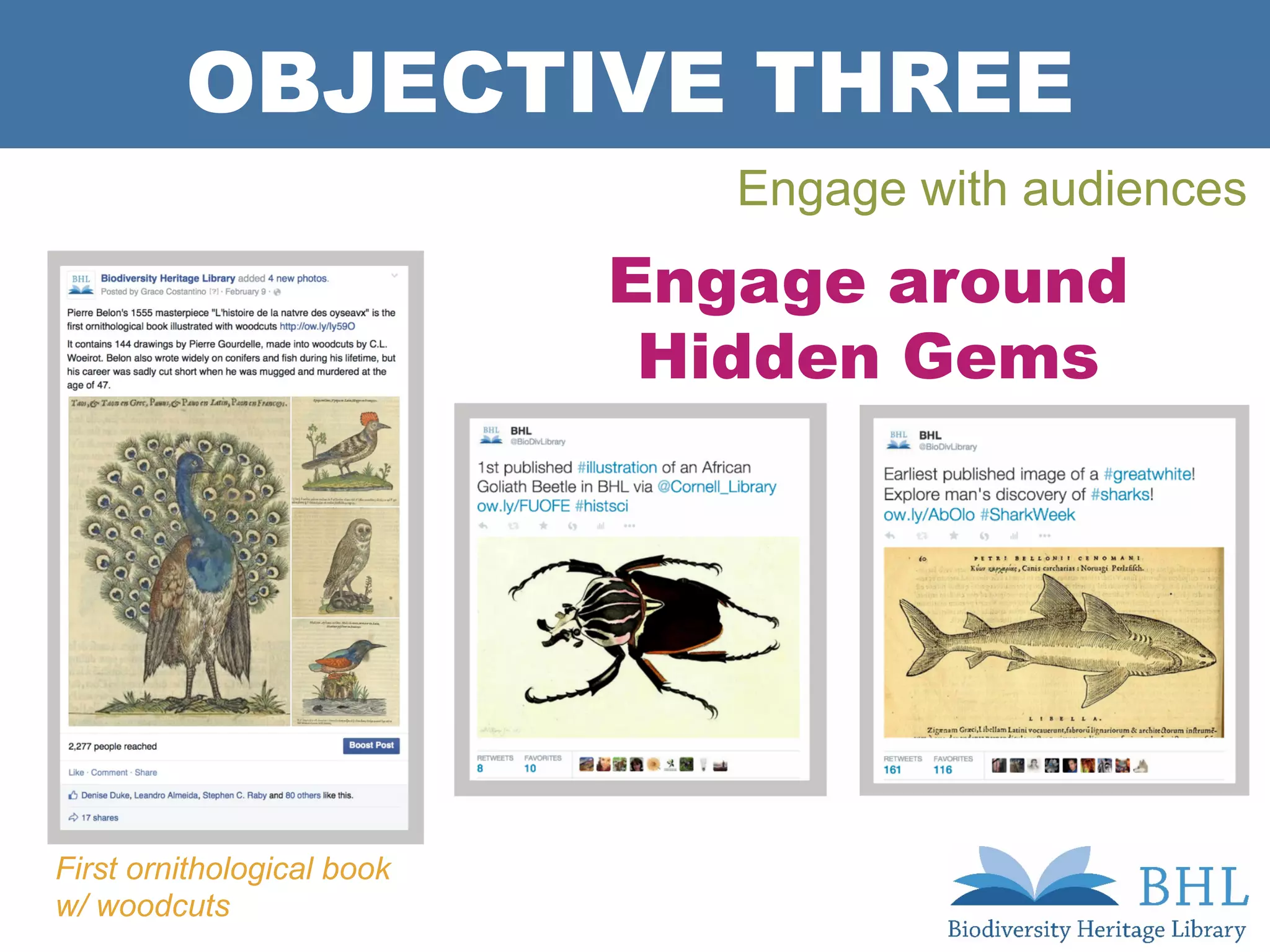 OBJECTIVE THREE
Engage with audiences
Engage around
Hidden Gems
First ornithological book
w/ woodcuts
 