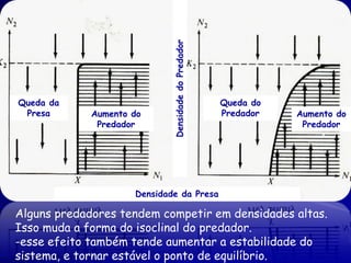 Densidade do Predador
Queda da                                             Queda do
 Presa       Aumento do                              Predador   Aumento do
              Predador                                           Predador




                     Densidade da Presa

Alguns predadores tendem competir em densidades altas.
Isso muda a forma do isoclinal do predador.
-esse efeito também tende aumentar a estabilidade do
sistema, e tornar estável o ponto de equilíbrio.
 