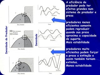 A eficiência do
                                    predador pode ter
                                    efeitos grandes num
                                    sistema de predador e
                                    presa

                                    predadores menos
                                    eficientes somente
Densidade do Predador




                                    podem reproduzir
                                    quando sua presa
                        Densidade   aproxima a capacidade
                                    de suporte.
                                    Mais estabilidade

                                    predadores muito
                                    eficientes podem forçar
                                    a presa a extinção e
                                    assim também tornam
                                    extintos.
                                    Menos estabilidade
 