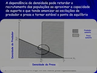 A dependência de densidade pode retardar o
recrutamento das populações ao aproximar a capacidade
de suporte o que tende amenizar as oscilações de
predador e presa e tornar estável o ponto de equilíbrio



                                                   Predador
                                                   aumenta
   Densidade do Predador




                                                     Presa
                                                    aumenta




                           Densidade da Presa
 