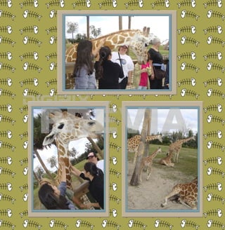 Outros parques preview