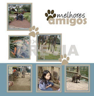 Outros parques preview