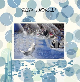 Outros parques preview