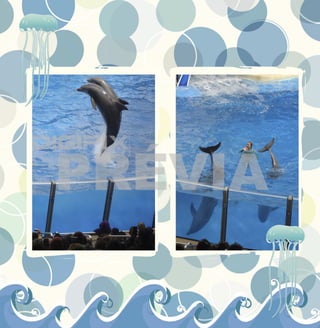 Outros parques preview