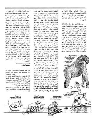 Revue Outrouhat n°5