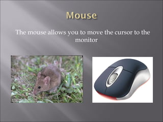 The mouse allows you to move the cursor to the monitor 