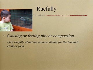 Ruefully Causing or feeling pity or compassion. I felt ruefully about the animals dieing for the human’s cloth or food. 