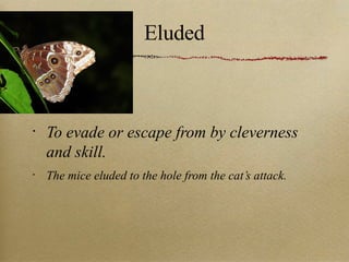 Eluded To evade or escape from by cleverness and skill. The mice eluded to the hole from the cat’s attack. 