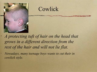 Cowlick A protecting tuft of hair on the head that grows in a different direction from the rest of the hair and will not lie flat. Nowadays, many teenage boys wants to cut their in cowlick style. 