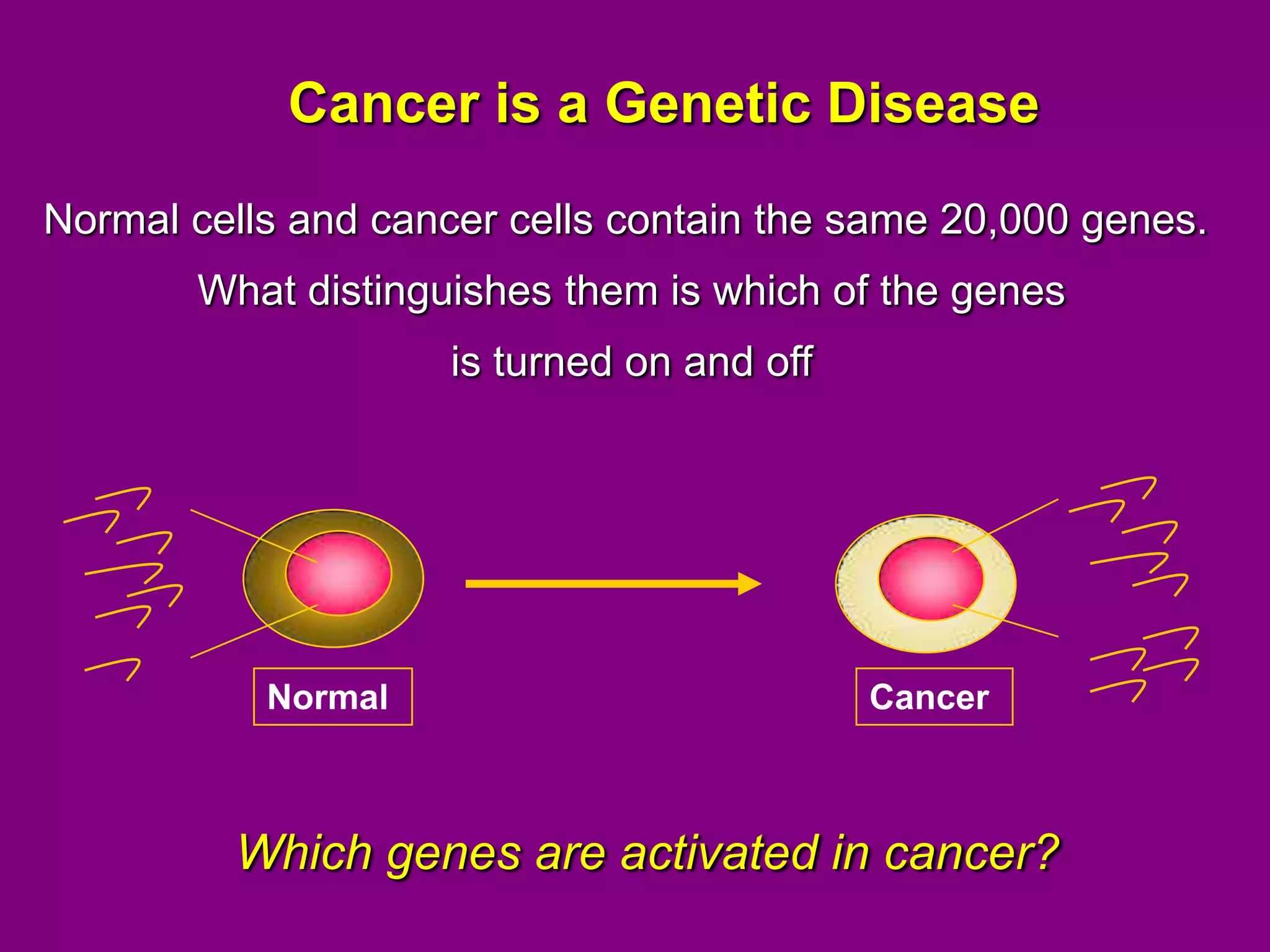 The Cancer Risk Associated With Sermorelin: Expert Opinion - t1ykauz