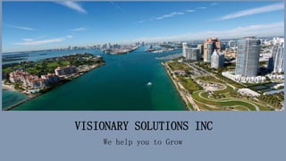 VISIONARY SOLUTIONS INC
We help you to Grow
 
