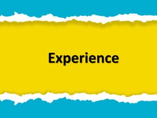 Experience
 
