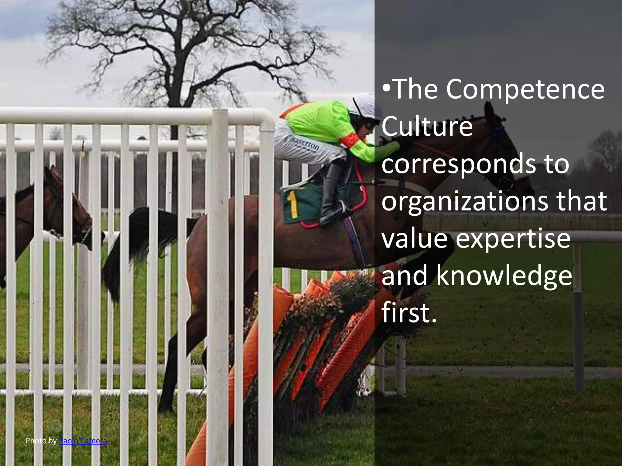 •The Competence
                        Culture
                        corresponds to
                        organizations that
                        value expertise
                        and knowledge
                        first.


Photo by Paolo Camera
 