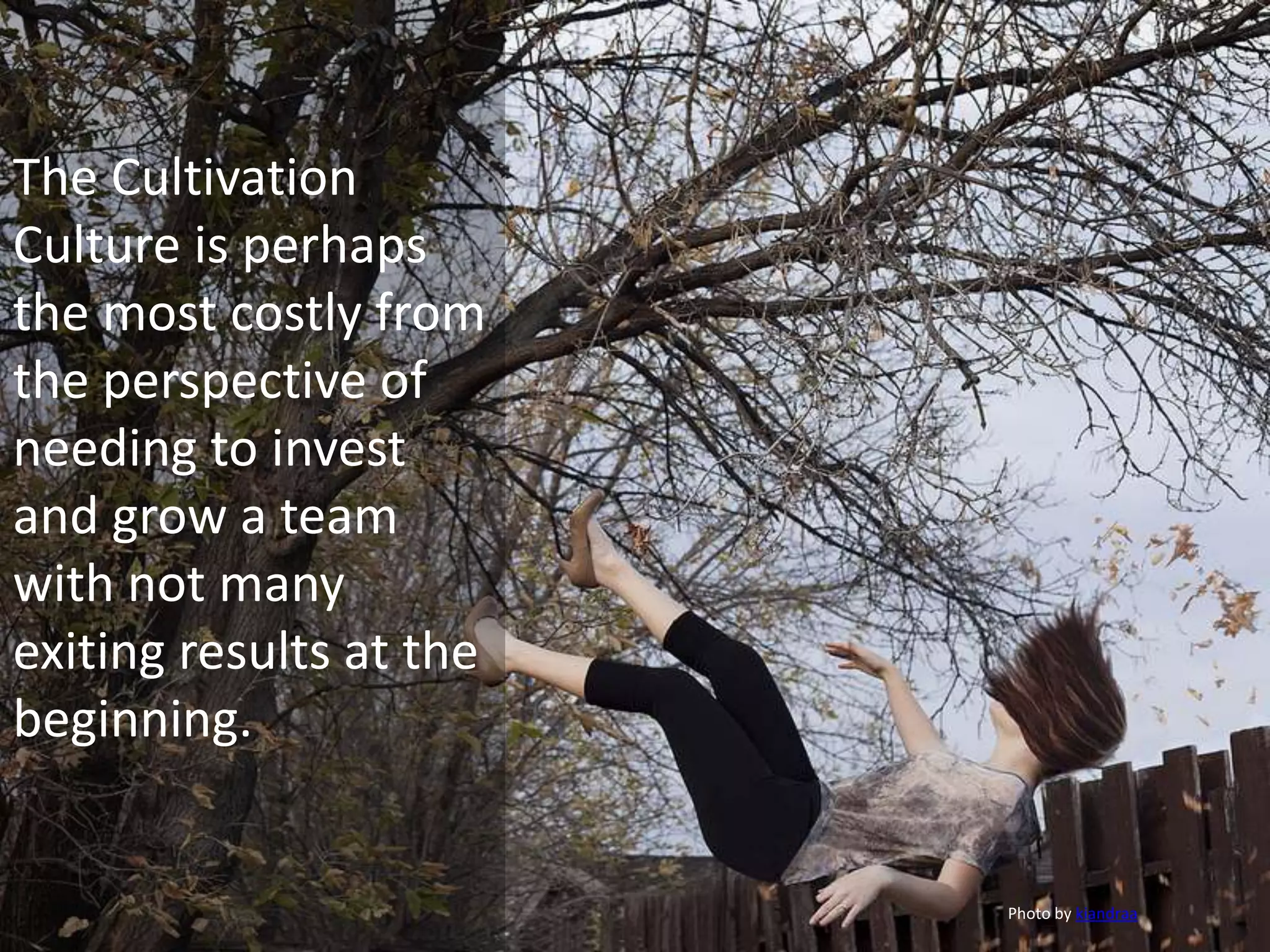 The Cultivation
Culture is perhaps
the most costly from
the perspective of
needing to invest
and grow a team
with not many
exiting results at the
beginning.


                         Photo by kiandraa
 