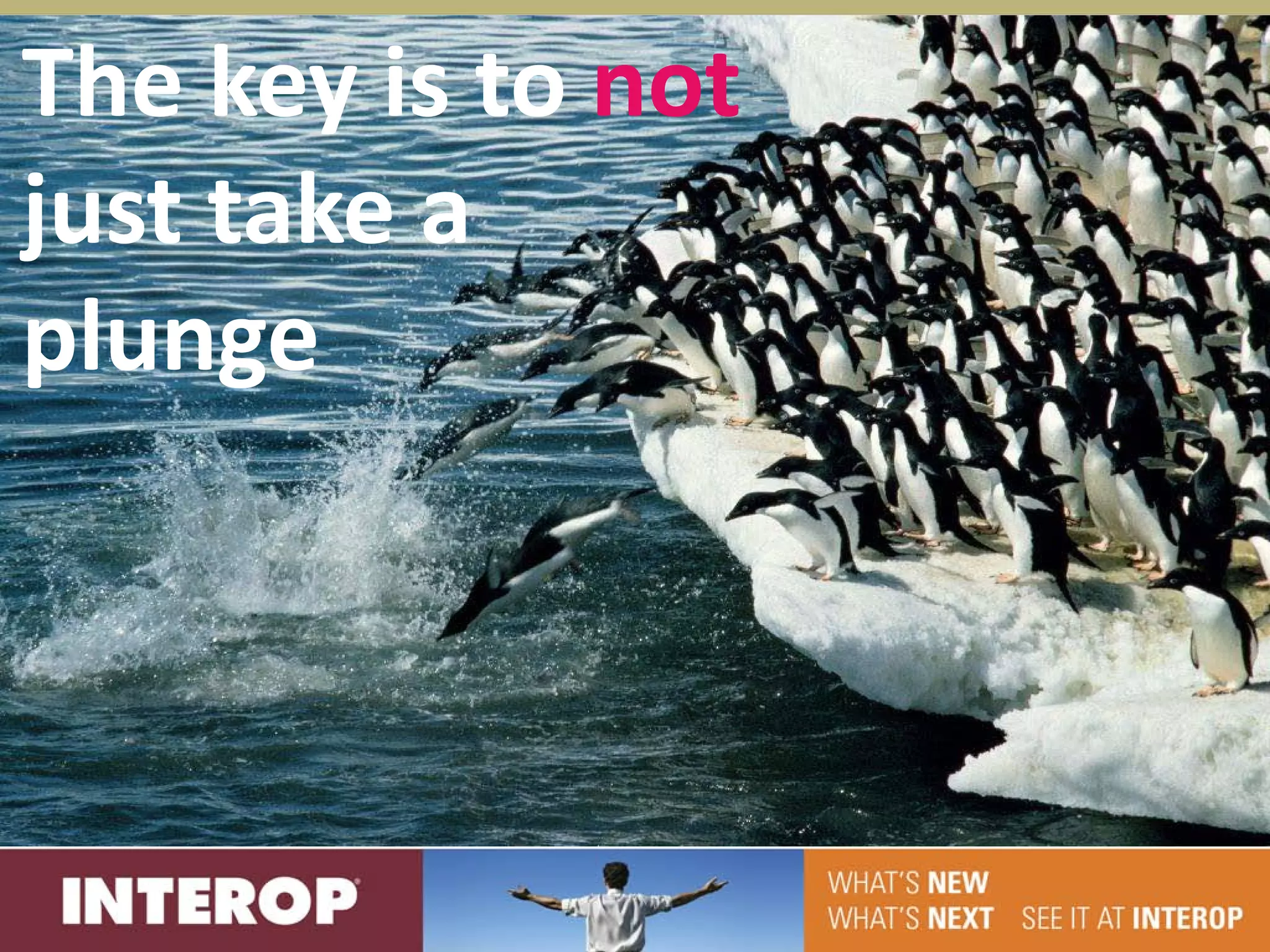 The key is to not
just take a
plunge
 