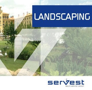LANDSCAPING
MULTI SERVICE GROUP
 