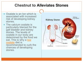 Outstanding health benefits of chestnut fruit  A series of Presentation By Mr Allah Dad Khan Former D.G. Agriculture & Vis...