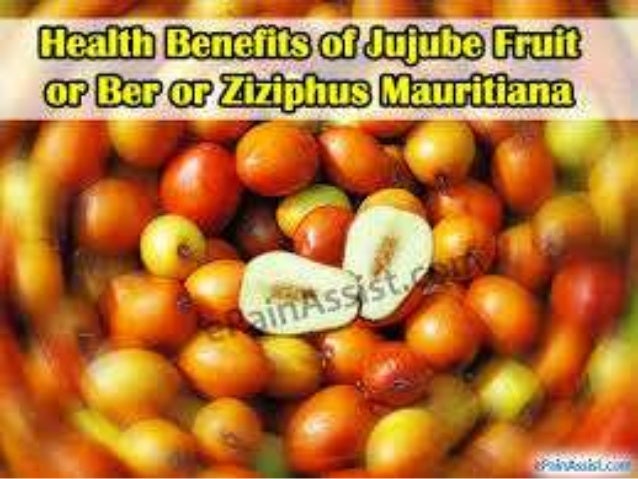 Outstanding Health Benefits Of Jujube Fruit A Series Of Presentation