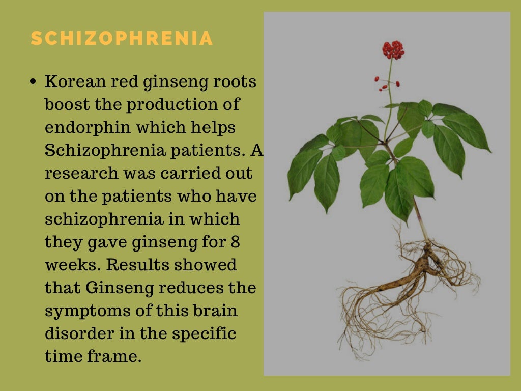 Outstanding health benefits of red korean ginseng root