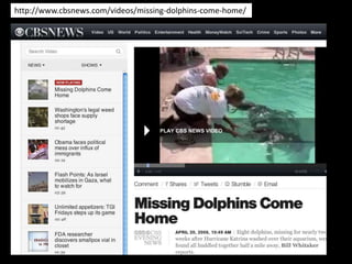 http://www.cbsnews.com/videos/missing-dolphins-come-home/
 