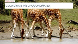 COORDINATE THE UNCOORDINATED
NARRATIVE 34
 