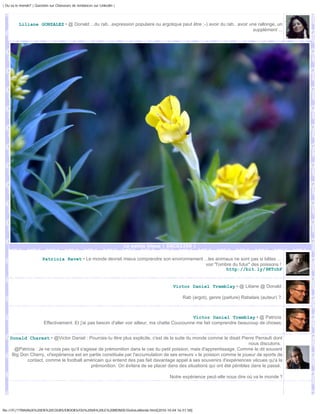 | Ou va le monde? | Question sur Chasseurs de tendances sur Linkedin |




          Liliane GONZALEZ • @ Donald ...du rab...expression populaire ou argotique peut être ;-) avoir du rab.. avoir une rallonge, un
                                                                                                                         supplément ...




                                                                         La petite bleue | DSC02250 |

                        Patricia Ravet • Le monde devrait mieux comprendre son environnement ...les animaux ne sont pas si bêtes ...
                                                                                              voir "l'ombre du futur" des poissons !
                                                                                                         http://bit.ly/9KTchF


                                                                                            Victor Daniel Tremblay • @ Liliane @ Donald

                                                                                                Rab (argot), genre (parlure) Rabelais (auteur) ?.



                                                                                                   Victor Daniel Tremblay • @ Patricia
                         Effectivement. Et j'ai pas besoin d'aller voir ailleur, ma chatte Coucounne me fait comprendre beaucoup de choses.


    Donald Charest • @Victor Daniel : Pourrais-tu être plus explicite, c'est de la suite du monde comme le disait Pierre Perrault dont
                                                                                                                           nous discutons.
      @Patricia : Je ne crois pas qu'il s'agisse de prémonition dans le cas du petit poisson, mais d'apprentissage. Comme le dit souvent
     Big Don Cherry, «l'expérience est en partie constituée par l'accumulation de ses erreurs » le poisson comme le joueur de sports de
            contact, comme le football américain qui entend des pas fait davantage appel à ses souvenirs d'expériences vécues qu'a la
                                              prémonition. On évitera de se placer dans des situations qui ont été pénibles dans le passé.

                                                                                          Notre expérience peut-elle nous dire où va le monde ?




file:///F|/1TRAVAUX%20EN%20COURS/EBOOKS/OU%20VA%20LE%20MONDE/OuVaLeMonde.html[2010-10-04 16:51:58]
 