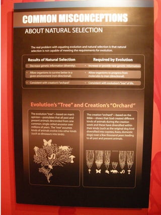Creation museum | PDF