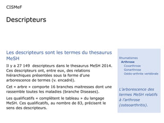 CISMeF 
Descripteurs 
Rhumatismes 
Arthrose 
Coxarthrose 
Gonarthrose 
Ostéo-arthrite vertébrale 
L’arborescence des 
termes MeSH relatifs 
à l’arthrose 
(osteoarthritis). 
Les descripteurs sont les termes du thesaurus 
MeSH 
Il y a 27 149 descripteurs dans le thesaurus MeSH 2014. 
Ces descripteurs ont, entre eux, des relations 
hiérarchiques présentées sous la forme d’une 
arborescence de termes (v. encadré). 
Cet « arbre » comporte 16 branches maitresses dont une 
rassemble toutes les maladies (branche Diseases). 
Les qualificatifs « complètent le tableau » du langage 
MeSH. Ces qualificatifs, au nombre de 83, précisent le 
sens des descripteurs. 
 