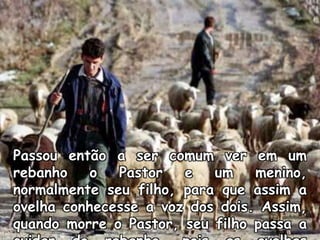 Passou então a ser comum ver em um
rebanho o Pastor e um menino,
normalmente seu filho, para que assim a
ovelha conhecesse a voz dos dois. Assim,
quando morre o Pastor, seu filho passa a
 