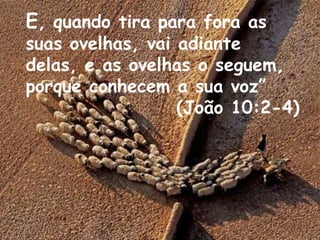 E, quando tira para fora as
suas ovelhas, vai adiante
delas, e as ovelhas o seguem,
porque conhecem a sua voz”
(João 10:2-4)
 