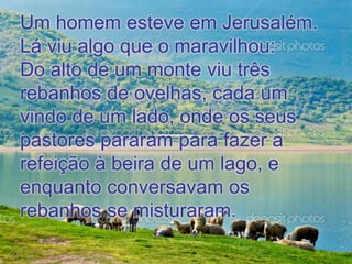 Um homem esteve em Jerusalém.
Lá viu algo que o maravilhou:
Do alto de um monte viu três
rebanhos de ovelhas, cada um
vindo de um lado, onde os seus
pastores pararam para fazer a
refeição à beira de um lago, e
enquanto conversavam os
rebanhos se misturaram.
 