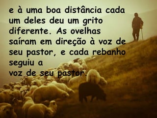e à uma boa distância cada
um deles deu um grito
diferente. As ovelhas
saíram em direção à voz de
seu pastor, e cada rebanho
seguiu a
voz de seu pastor.
 