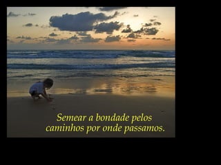 Semear a bondade pelos
caminhos por onde passamos.
 