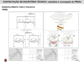 CONTRATAÇÃO DE ESCRITÓRIO TÉCNICO: subsídios e concepção do PRIOU DESENVOLVIMENTO: CNEC E VIGLIECCA TÚNEL   
