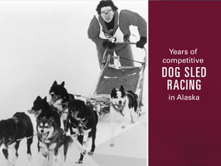 Years of
competitive

DOG SLED
RACING
in Alaska

 