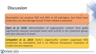 Discussion
Neutrophils can produce ROS and RNS to kill pathogens, but these toxic
molecules can also damage tissues if their release is excessive.
Alam et al. 2018: Administration of organosulfur content from garlic
significantly reduced neutrophil levels with p<0.05 in the treatment group,
and also reduced IL-6 levels.
Schepetkin et al. 2019: Garlic's organosulfur content suppresses ROS
production by neutrophils, and is an effective therapeutic modulator of
innate immune response.
 