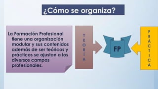 ¿Cómo se organiza?
La Formación Profesional
tiene una organización
modular y sus contenidos
además de ser teóricos y
prácticos se ajustan a los
diversos campos
profesionales.
T
E
O
R
Í
A
P
R
Á
C
T
I
C
A
FP
 