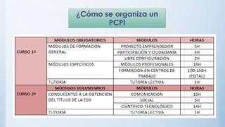¿Cómo se organiza un
PCPI
 