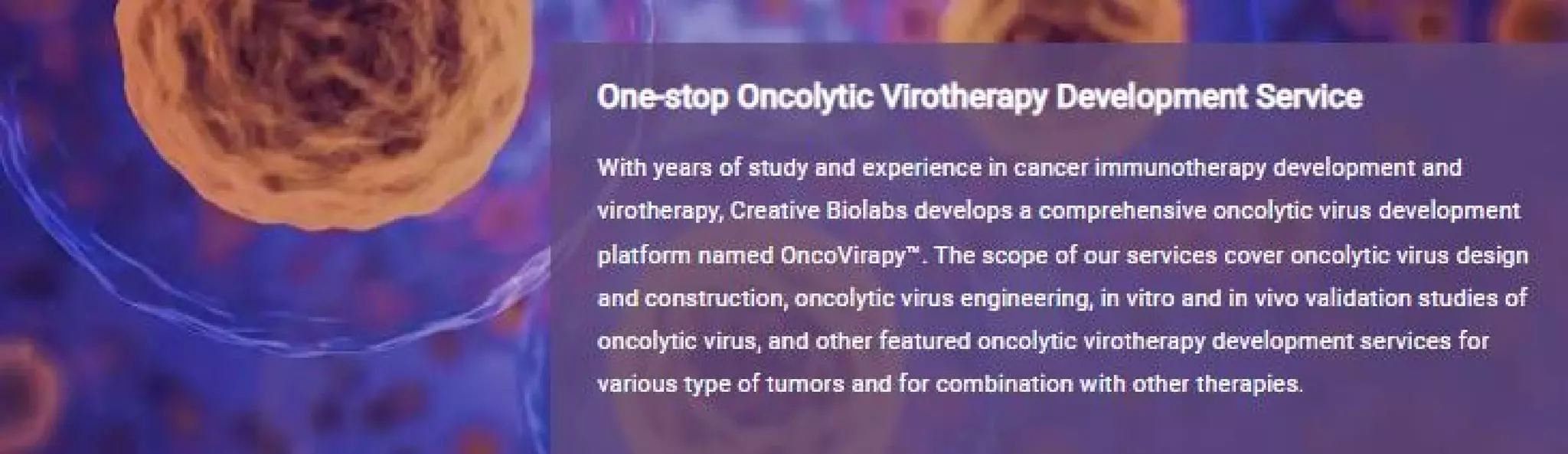 Oncolytic Virus Animal Model