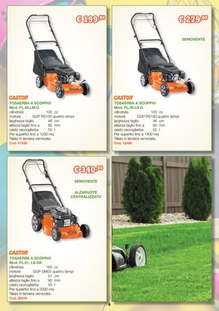 8
TOSAERBA A SCOPPIO
Mod. FL.51. LS GK
cilindrata		 160	 cc
motore	 GGP OM55 quattro tempi
larghezza taglio	 51	 cm
altezza taglio fino a	 90	 mm
cesto raccoglierba	 55	 l
Per superfici fino a 2000 mq
Telaio in lamiera verniciata.
Cod. 36519
TOSAERBA A SCOPPIO
Mod. FL.46.LS G
cilindrata		 100	 cc
motore	 GGP RS100 quattro tempi
larghezza taglio	 46	 cm
altezza taglio fino a	 80	 mm
cesto raccoglierba	 55	 l
Per superfici fino a 1400 mq
Telaio in lamiera verniciata.
Cod. 12498
TOSAERBA A SCOPPIO
Mod. FL.46.LM G
cilindrata		 100	 cc
motore	 GGP RS100 quattro tempi
larghezza taglio	 46	 cm
altezza taglio fino a	 80	 mm
cesto raccoglierba	 55	 l
Per superfici fino a 1200 mq
Telaio in lamiera verniciata.
Cod. 47538
€ 340,00
€ 199,90
€ 279,00
SEMOVENTE
ALZARUOTE
CENTRALIZZATO
SEMOVENTE
 