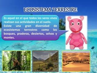 ECOSISTEMA TERRESTRE 
Es aquel en el que todos los seres vivos 
realizan sus actividades en el suelo. 
Existe una gran diversidad de 
ecosistemas terrestres como los 
bosques, praderas, desiertos, selvas y 
montes. 
 