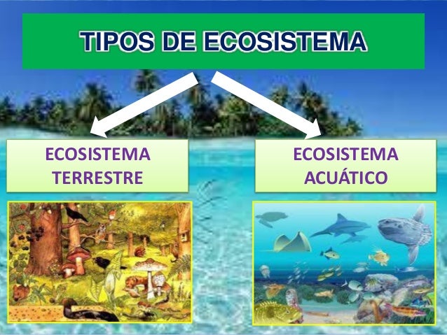 Imagen relacionada