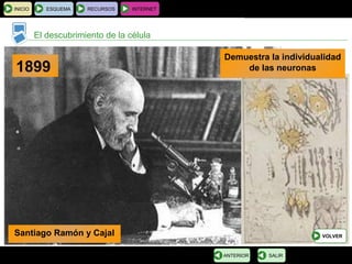 BIOLOGÍA Y GEOLOGÍA 4.º ESO
Tema 1: La célula. Unidad de vida
El descubrimiento de la célula
INICIO ESQUEMA RECURSOS INTERNET
SALIRANTERIOR
1899
Demuestra la individualidad
de las neuronas
Santiago Ramón y Cajal VOLVER
 