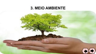 3. MEIO AMBIENTE
59
 