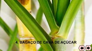 4. BAGAÇO DE CANA DE AÇÚCAR
61
 