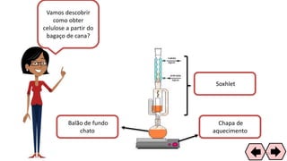 Vamos descobrir
como obter
celulose a partir do
bagaço de cana?
Chapa de
aquecimento
Balão de fundo
chato
Soxhlet
65
 