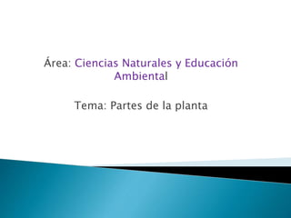 Área: Ciencias Naturales y Educación
Ambiental
Tema: Partes de la planta
 